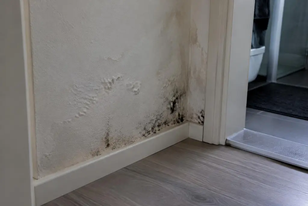 Lekdetectie Lemmer – vochtplek met schimmel op een muur